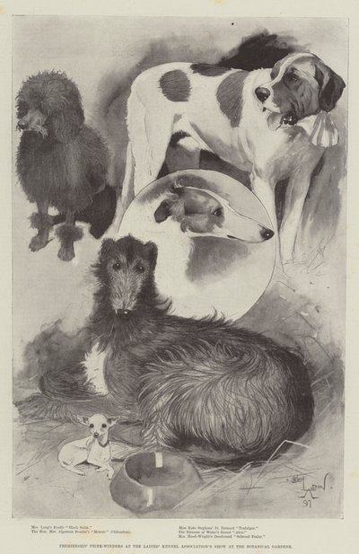 植物園でのレディースケネルアソシエーションのショーでプレミアシップ賞受賞者 作： Cecil Charles Windsor Aldin